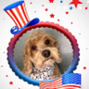 Meet your Posher, Brenda